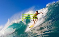 体彩投注-勒沃库森主场对决纽卡斯尔，欧冠关键战点燃战术博弈与进攻狂潮