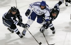 体彩投注：郑智确立新追求！沙特43岁老将亚冠赛场谱写历史新篇