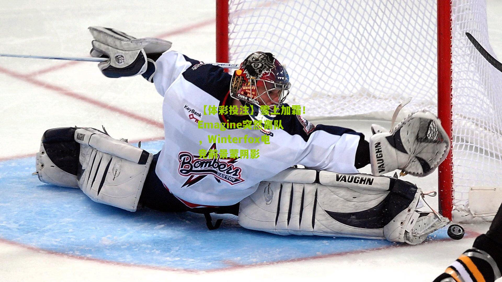 雪上加霜！Emagine突然离队，Winterfox电竞前景蒙阴影